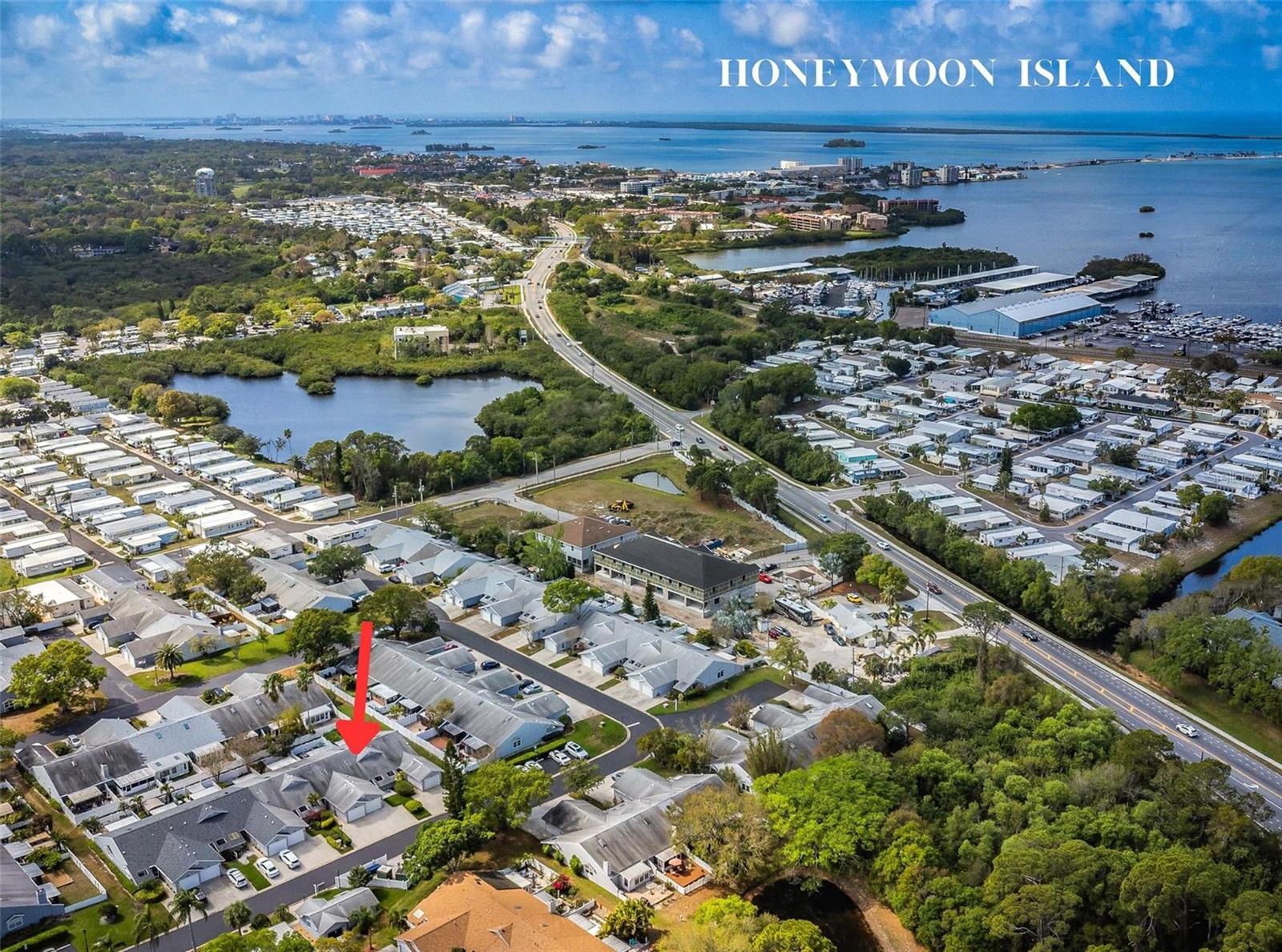 588 Daventry Square, Palm Harbor, FL 34683