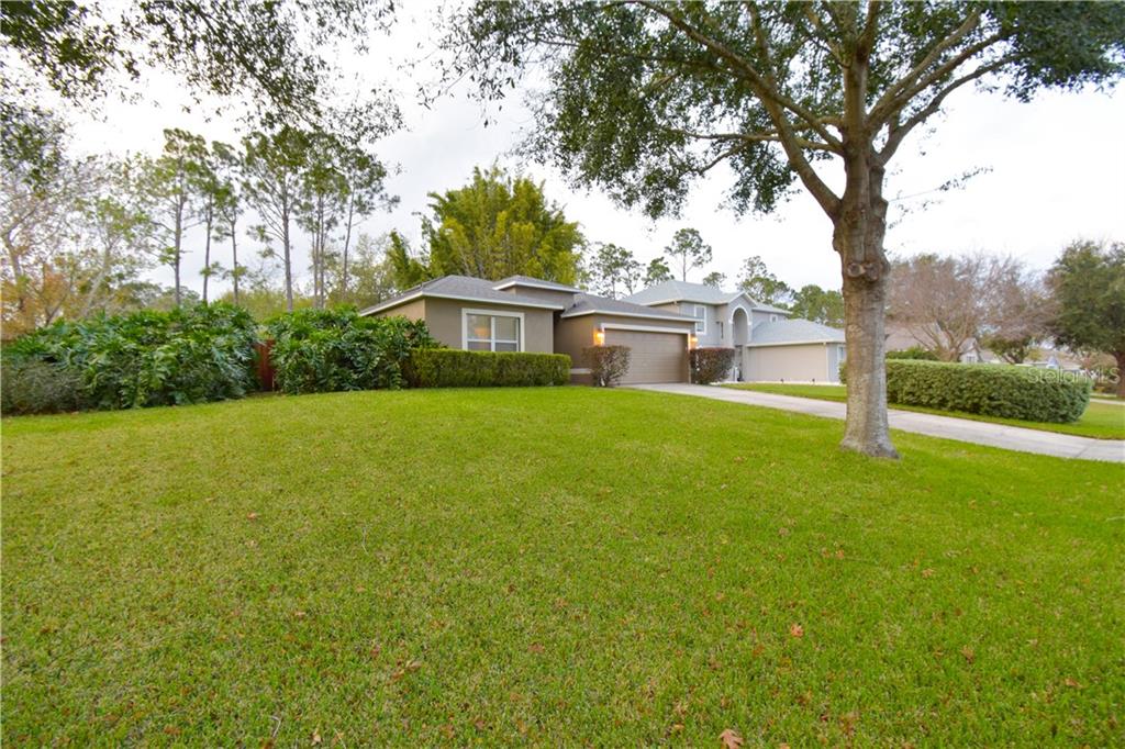 15800 Marsh Elder Street Clermont Fl 34711 Fannie Hillman