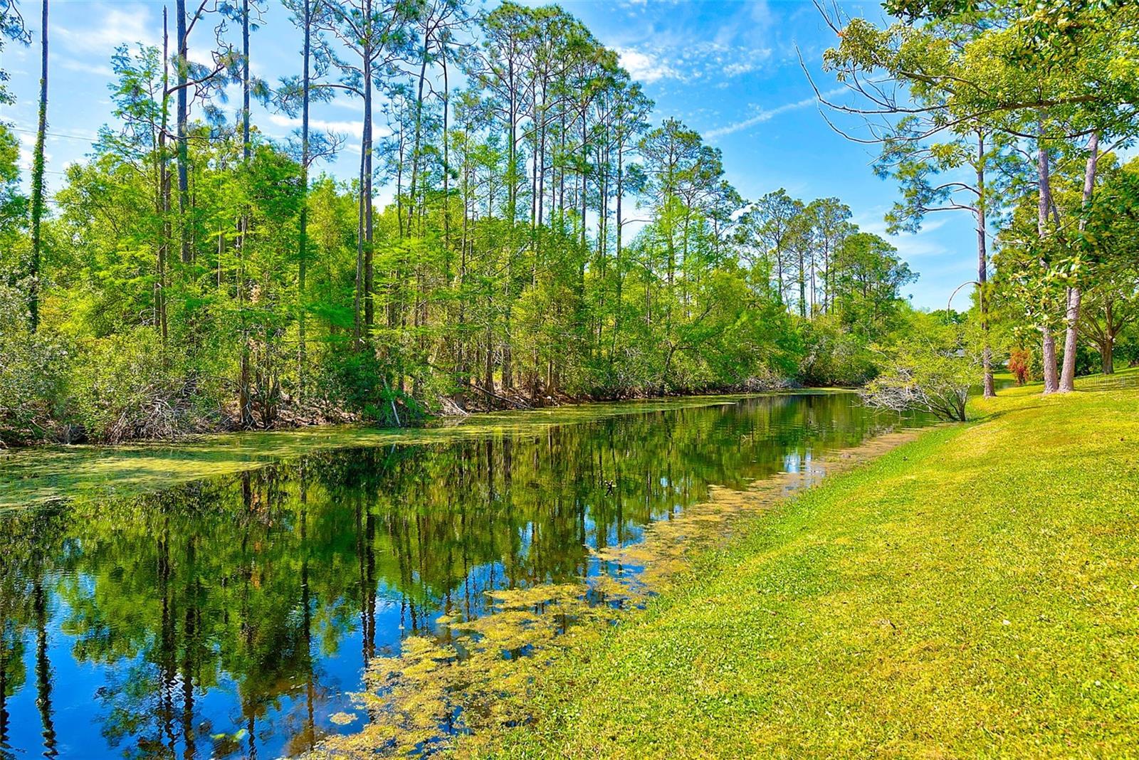 8604 Village Mill Row, Hudson, FL 34667